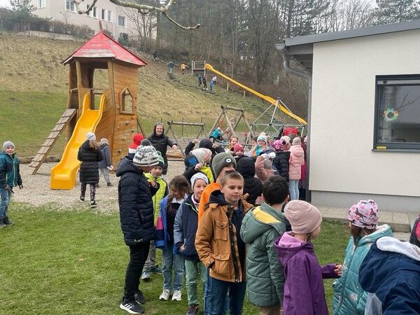 Photo4 Bulli