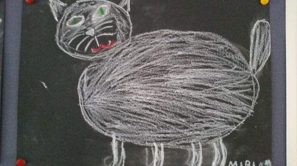 Miau4