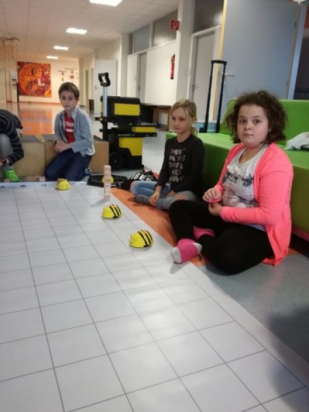 Beebot2