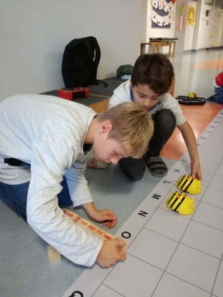 Beebot3