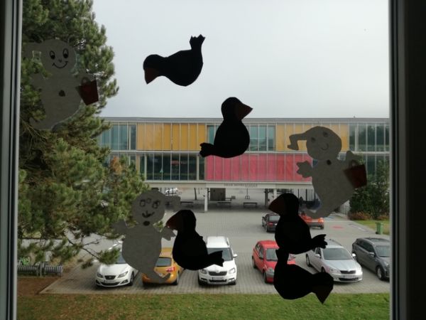 Fenster1