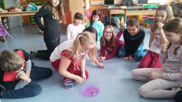 Fasching1