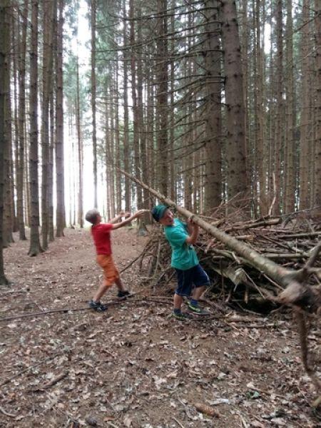 Wald2