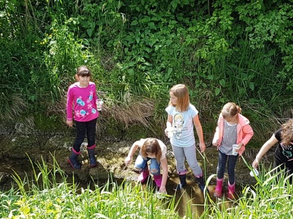 Wasserworkshop1