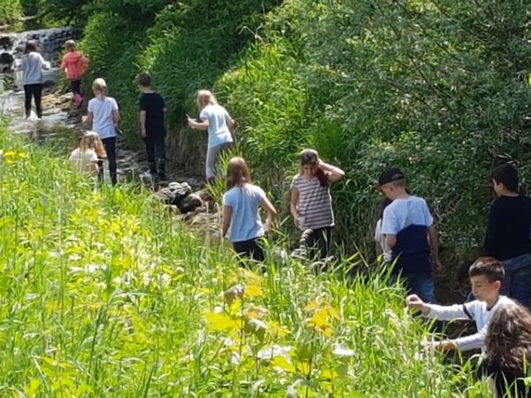 Wasserworkshop2