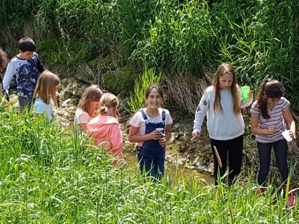 Wasserworkshop4