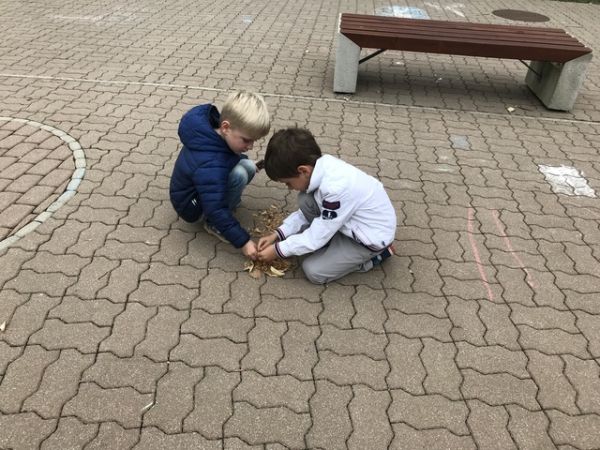 Img 1761