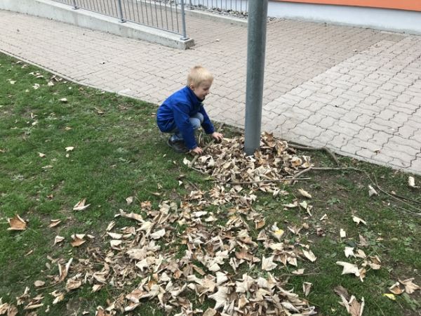 Img 1766