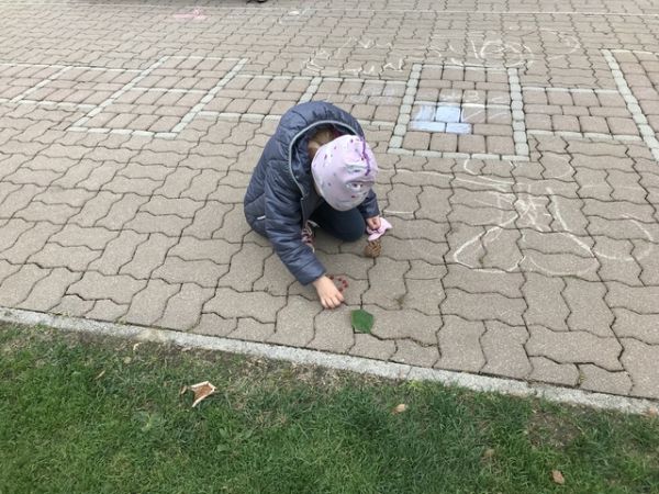 Img 1769