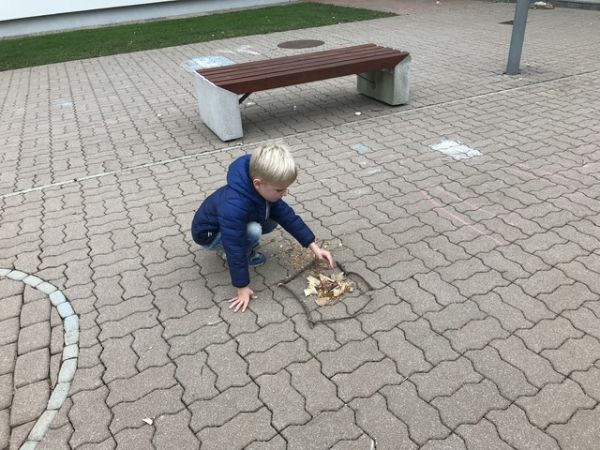 Img 1770