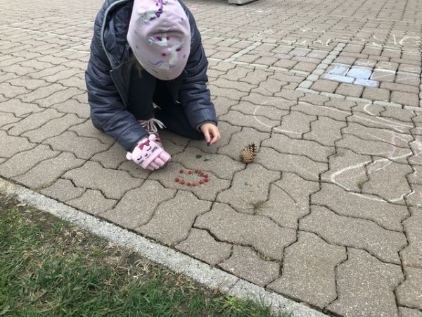 Img 1773