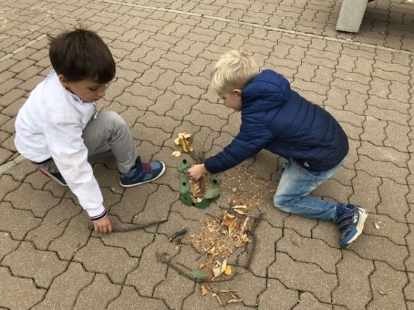 Img 1777