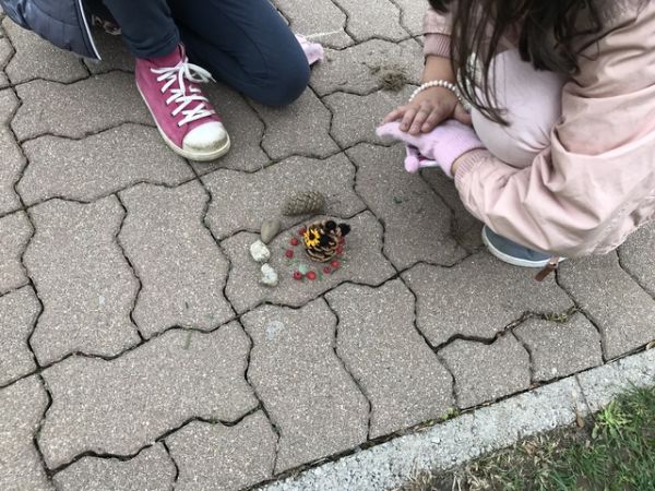 Img 1779