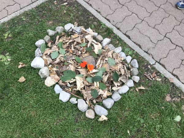 Img 1787