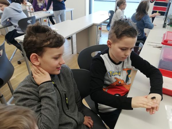 Img 20190218 095903