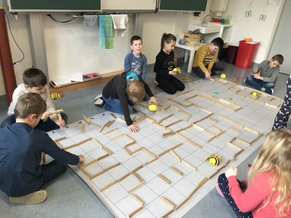 Img 7900