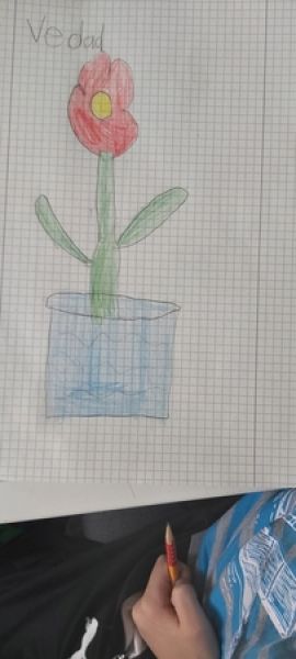 Vedad