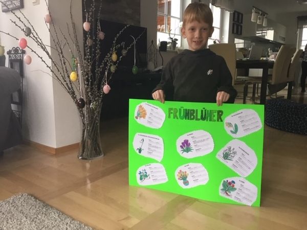 Jonas Dengg Frühblüher